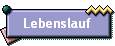 Lebenslauf